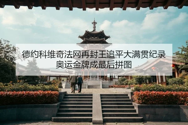 德约科维奇法网再封王追平大满贯纪录 奥运金牌成最后拼图