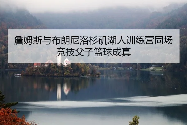 詹姆斯与布朗尼洛杉矶湖人训练营同场竞技父子篮球成真