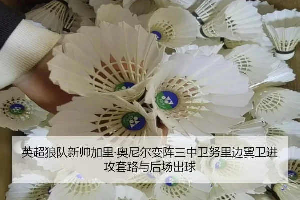 ying-chao-lang-dui-xin-shuai-jia-li-ao-ni-er-bian-zhen-san-zhong-wei-nu-li-bian-yi-wei-jin-gong-tao-lu-yu-hou-chang-chu-3-451.jpg